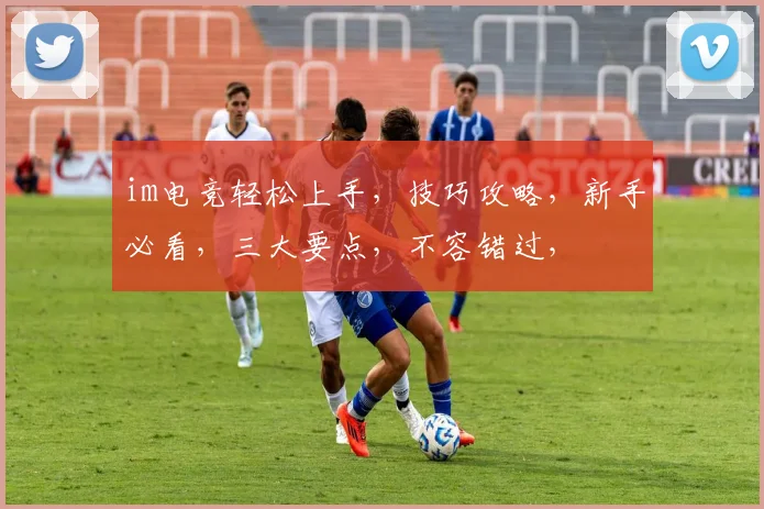 im电竞轻松上手，技巧攻略，新手必看，三大要点，不容错过，